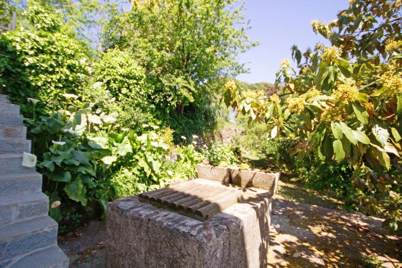Fattorialmare Blu Apartment Camogli Exterior foto